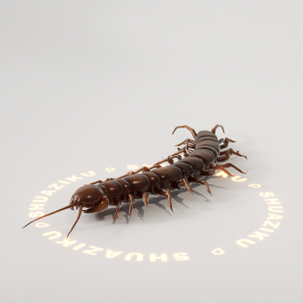 图片[2]-D5动态模型20个-刷子库