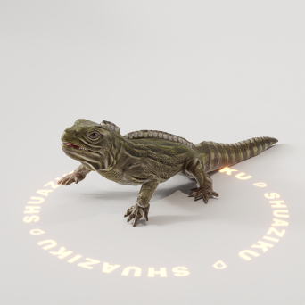 图片[7]-D5动态模型20个-刷子库