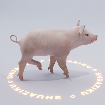 图片[5]-D5动态模型20个-刷子库