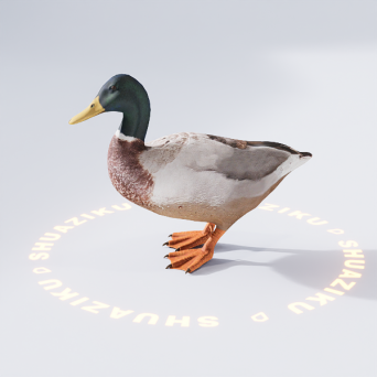 图片[12]-D5动态模型20个-刷子库