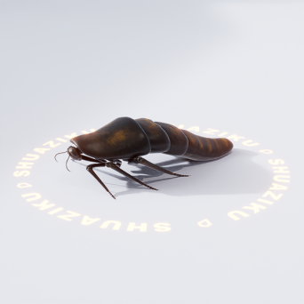 图片[15]-D5动态模型20个-刷子库