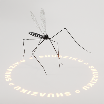 图片[14]-D5动态模型17个-刷子库