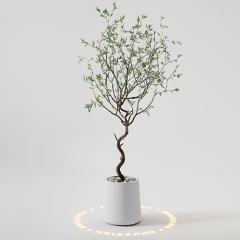 图片[18]-D5模型合集20个-刷子库