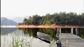 图片[3]-D5水材质11款-刷子库