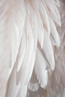 图片[19]-D5装饰挂画材质20款-刷子库