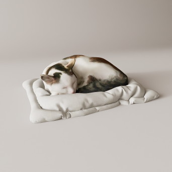 图片[3]-D5宠物模型8个-刷子库