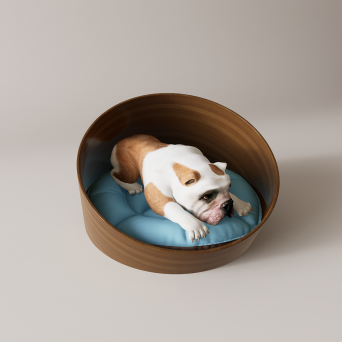 图片[4]-D5宠物模型8个-刷子库