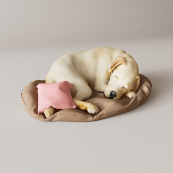 图片[7]-D5宠物模型8个-刷子库