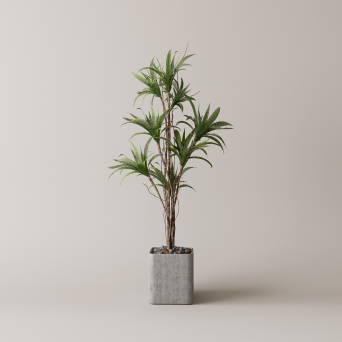 图片[2]-D5落地盆栽植物模型13个-刷子库