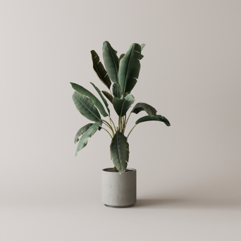 图片[4]-D5落地盆栽植物模型13个-刷子库