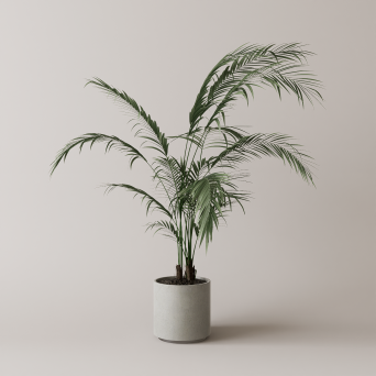 图片[6]-D5落地盆栽植物模型13个-刷子库