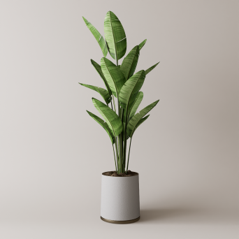 图片[7]-D5落地盆栽植物模型13个-刷子库