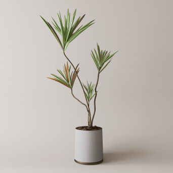 图片[8]-D5落地盆栽植物模型13个-刷子库