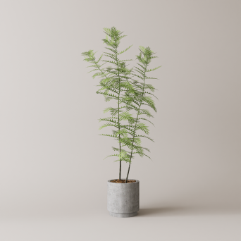 图片[10]-D5落地盆栽植物模型13个-刷子库