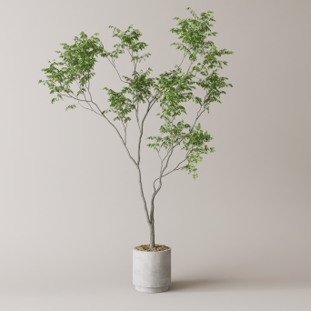 图片[11]-D5落地盆栽植物模型13个-刷子库