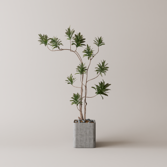 图片[12]-D5落地盆栽植物模型13个-刷子库