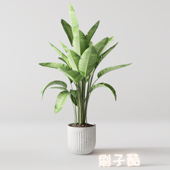 图片[2]-D5落地盆栽植物模型20个-刷子库