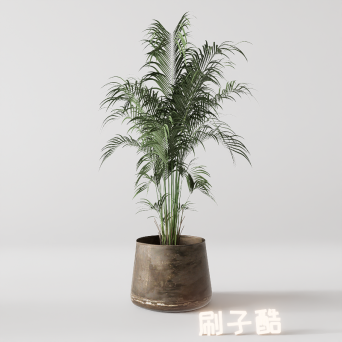 图片[3]-D5落地盆栽植物模型20个-刷子库