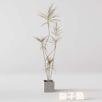 图片[5]-D5落地盆栽植物模型20个-刷子库