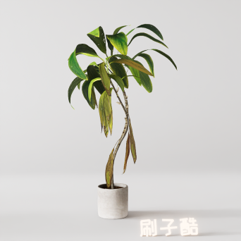 图片[6]-D5落地盆栽植物模型20个-刷子库