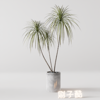 图片[8]-D5落地盆栽植物模型20个-刷子库