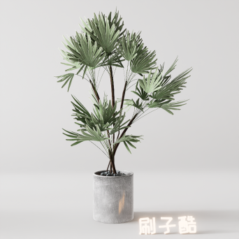 图片[7]-D5落地盆栽植物模型20个-刷子库