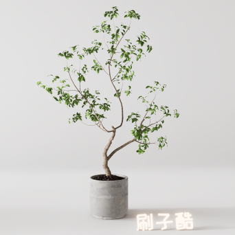 图片[9]-D5落地盆栽植物模型20个-刷子库