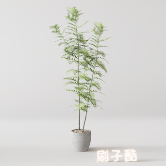 图片[10]-D5落地盆栽植物模型20个-刷子库