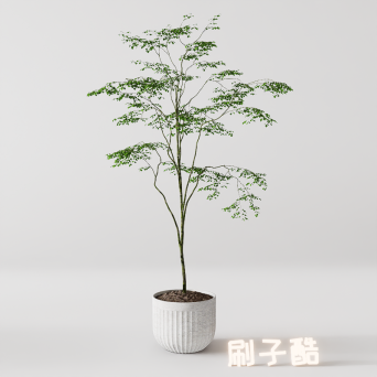 图片[11]-D5落地盆栽植物模型20个-刷子库