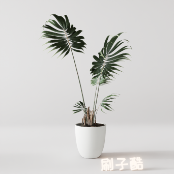 图片[12]-D5落地盆栽植物模型20个-刷子库