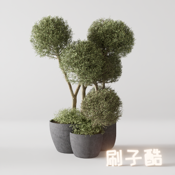 图片[13]-D5落地盆栽植物模型20个-刷子库