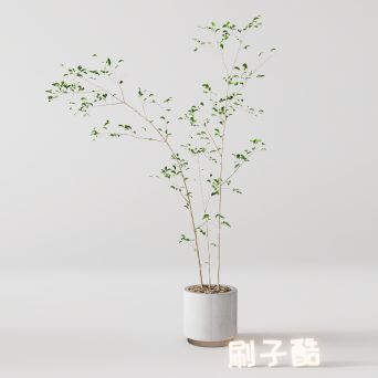 图片[14]-D5落地盆栽植物模型20个-刷子库