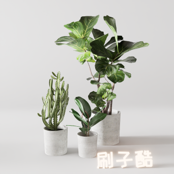 图片[15]-D5落地盆栽植物模型20个-刷子库