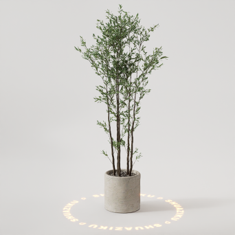 图片[18]-D5落地盆栽植物模型20个-刷子库