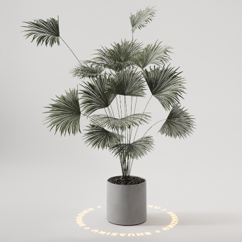 图片[17]-D5落地盆栽植物模型20个-刷子库