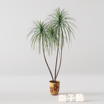 图片[19]-D5落地盆栽植物模型20个-刷子库