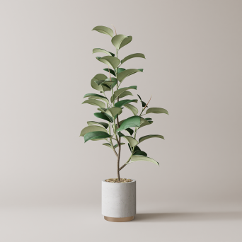 图片[2]-D5落地盆栽植物模型20个-刷子库