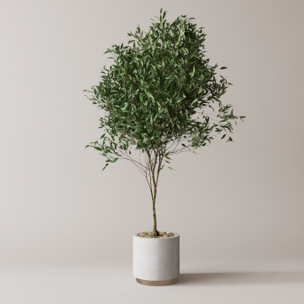 图片[7]-D5落地盆栽植物模型20个-刷子库