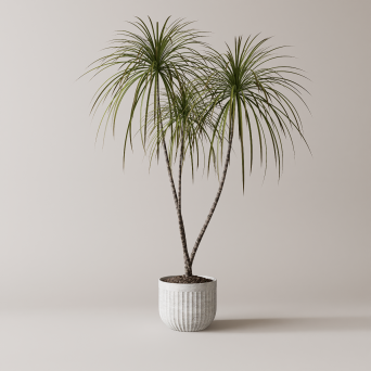 图片[8]-D5落地盆栽植物模型20个-刷子库