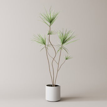 图片[9]-D5落地盆栽植物模型20个-刷子库