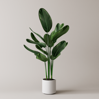 图片[11]-D5落地盆栽植物模型20个-刷子库