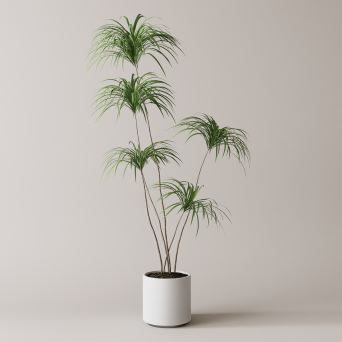 图片[12]-D5落地盆栽植物模型20个-刷子库