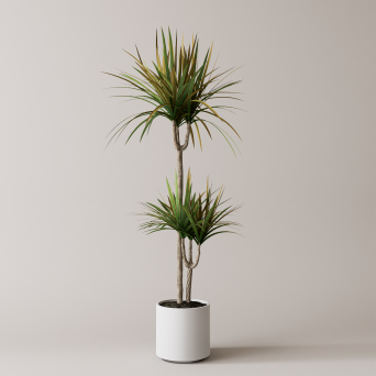 图片[14]-D5落地盆栽植物模型20个-刷子库