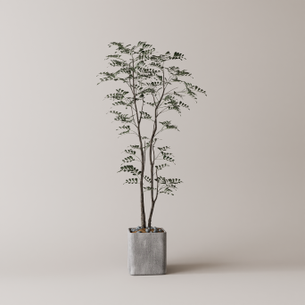 图片[15]-D5落地盆栽植物模型20个-刷子库