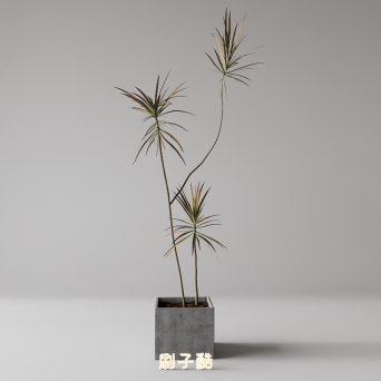 图片[17]-D5落地盆栽植物模型20个-刷子库