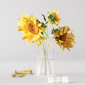 图片[7]-D5桌面盆栽植物模型14个-刷子库