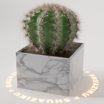 图片[17]-D5桌面盆栽植物模型20个-刷子库