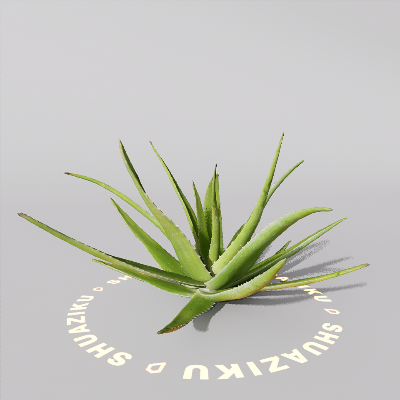 图片[7]-D5芦荟模型-刷子库