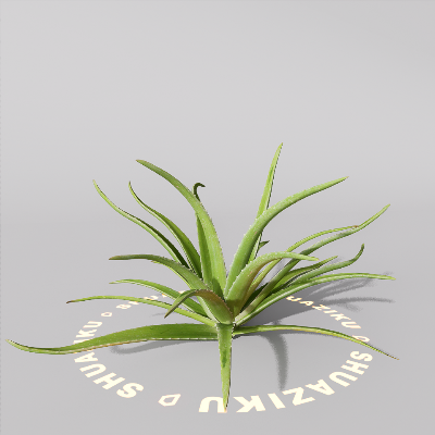 图片[9]-D5芦荟模型-刷子库