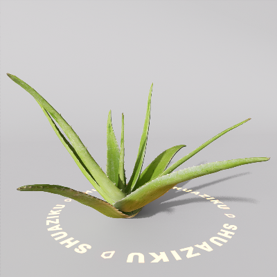 图片[13]-D5芦荟模型-刷子库